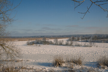 landscape with trees and snow