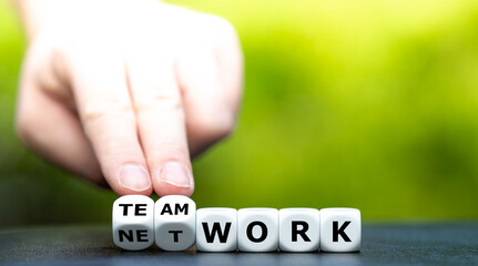 Dice form the words teamwork and network.