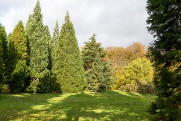 Fototapeta na wymiar autumn forest path