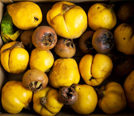 Mixed autumn fruits background image