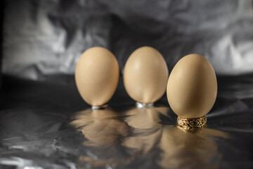 Exhibition of eggs. Studio photography, composition.