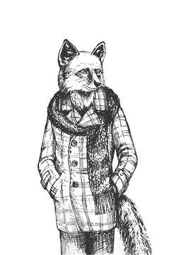 Fox man in tweed coat portrait