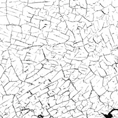 Crackle paint overlay. Vector black and white grunge pattern made from natural oil paint crackle. Cool texture of cracks, stains, scratches, splash, etc for print and design. EPS10.