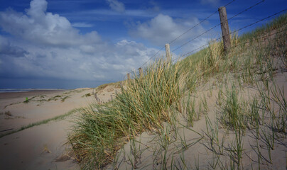 North sea coast in Netherlands island Texel