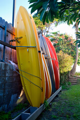 Colorful kayaks leaning against fence in the late afternoon on Maui