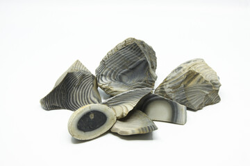 Striped flint stone isolated on a white background. Amazing curves and stripes. Grey colors and...