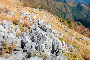 秋の四国カルスト