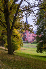 Autumn trees alley with colorful leaves in the park