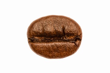 A single roasted coffee bean isolated before a white background