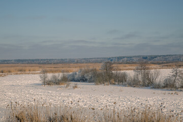 landscape with snow and trees