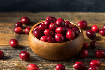 Raw Red Organic Cranberries