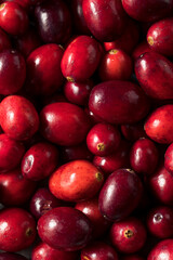 Raw Red Organic Cranberries