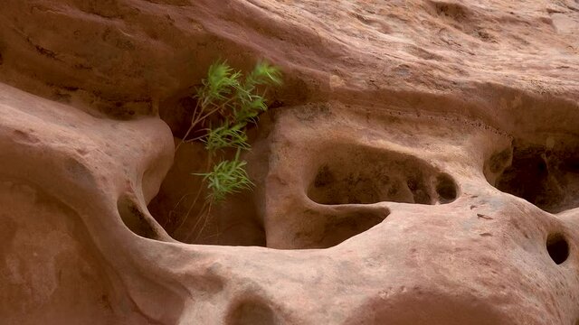 Eroded by water and wind cliffs in the canyon. Little Wild Horse Canyon. San Rafael Swell, Utah.