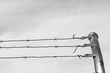 POSTE DE CON ALAMBRADA DE PROTECCIÓN SOBRE CIELO