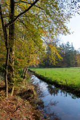 Fototapeta na wymiar Trees, creek and meadow in autumn sun