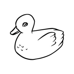 Hand drawn baby swan isolated on white background. Vector illustration for kids. Coloring book