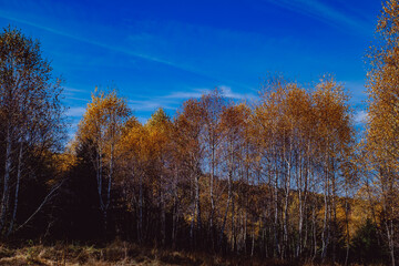 beautiful autumn landscapes in the Romanian mountains, Fantanele village area, Sibiu county, Cindrel mountains, Romania