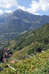Blick vom Tappeinerweg über Schloss Tirol zur Mutspitze