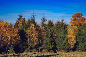Fototapeta premium beautiful autumn landscapes in the Romanian mountains, Fantanele village area, Sibiu county, Cindrel mountains, Romania