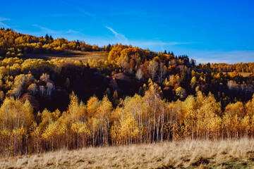 Fototapeta premium beautiful autumn landscapes in the Romanian mountains, Fantanele village area, Sibiu county, Cindrel mountains, Romania
