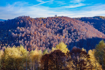 Fototapeta premium beautiful autumn landscapes in the Romanian mountains, Fantanele village area, Sibiu county, Cindrel mountains, Romania