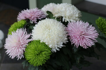 bouquet of chrysanthemums