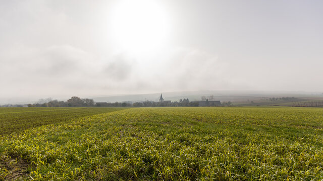 autumn landscape in France