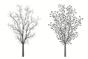 Tree with leaves in vintage style in two versions on a white background