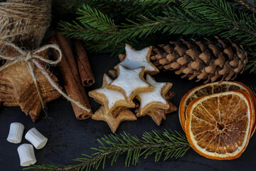 Christmas composition with cookies, marshmallow, fir tree and cinnamon on dark background