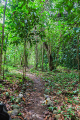 Costa Rica,  the border with Panama is the Rio Yorkin. The only way to visit the indian people is a trip by boat.