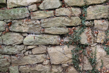 Unregelmäßige Natursteinmauer mit Pflanzen