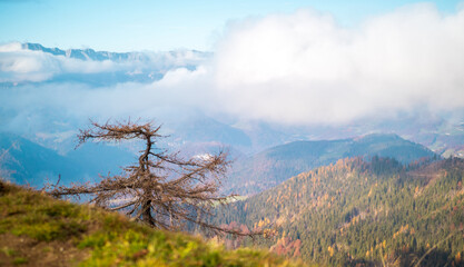 Berchtesgadener Alpen an einem sonnigen Herbsttag