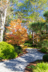 A vibrant color-lined path through the gardens in autumn.