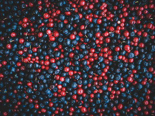 berries