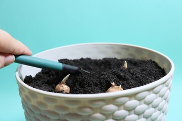 seeds. home seedlings. greens on the windowsill. spring greens. garden tools. home garden. garden and vegetable garden.