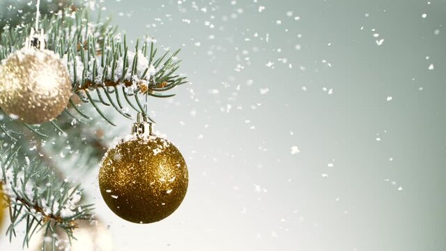 Christmas Spruce Branches with Snowflakes Falling. Super Slow Motion Filmed on High Speed Cinema Camera at 1000 fps.