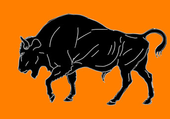 drawn black bull in antique style isolated on an orange background