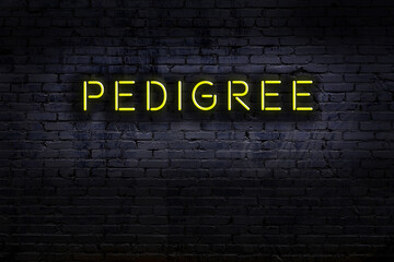 Neon sign. Word pedigree against brick wall. Night view