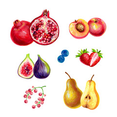 Set with fruits hand-drawn in gouache isolated on white background. For postcards, posters, stickers and other designs.