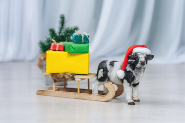 A cow in a christmas hat carries a sled with gifts on a christmas background