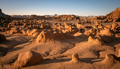 Fototapeta premium Goblin Valley Utah Hoodoos Everywhere