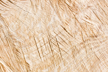 Wood carving texture. Wooden sculpture closeup. Scratched plank background. Cracked wood pattern.