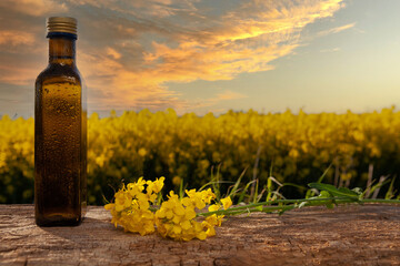 Rapeseed oil bottles (canola) on background rape field.