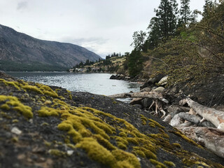 rocky coast of the sea