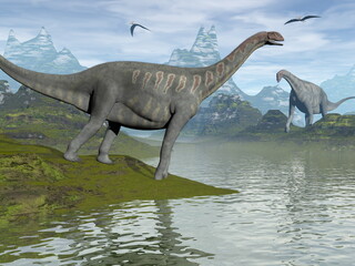 Jobaria dinosaurs walking in a landscape by day - 3D render © Elenarts