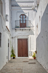 Fototapeta na wymiar Facade of a beautiful traditional house in Vejer de la Frontera, Cadiz, Andalusia, Spain