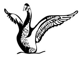 Fototapeta na wymiar swan silhouette