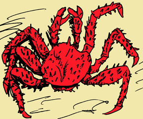 Portrayal of reddish Chilean King Crab typical also called Centolla, on yellow background. Hand drawn and digital retouch.