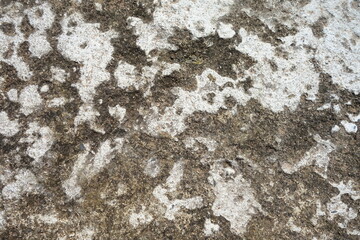 the closeup of concrete floor rough solid abstract texture background.