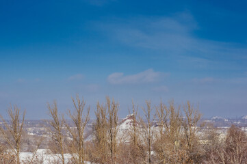 Winter urban frosty landscape - snow covered trees on foggy background